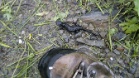 20120714 0958@