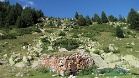 Cabana dels Esparves.