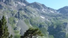 P1000393