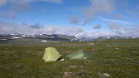 20110713093306  Halti