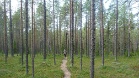 P1000984