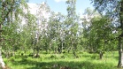 IMG 2612