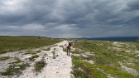 IMG 2644