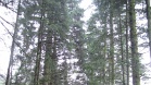 Merkityt reitit kiersivät välillä mm. historiallisia postireittejä pitkin.