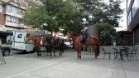 Seattle Police Department Mounted Unit (Seattle, USA)