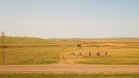DSC07003