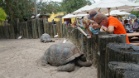 Busch Gardens Tampa Bay Theme Park (Florida, USA)