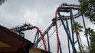 SheiKra Roller Coaster, Busch Gardens (Florida, USA)