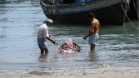 IMG 7302