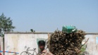 IMG 7078