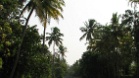Kerala Backwaters