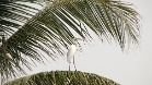 IMG 6319