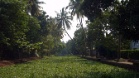 P1020082