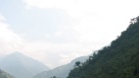 IMG 4239