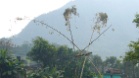 P1000656