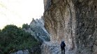 IMG 4315