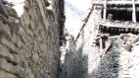 IMG 4502