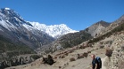 IMG 4542