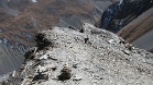 IMG 4600