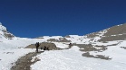 IMG 4630