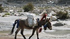 IMG 4773