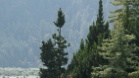 IMG 4816
