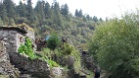 IMG 4831