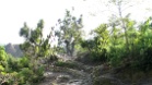 IMG 4887