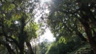 IMG 4925