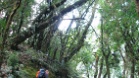 IMG 5076