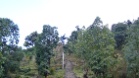 P1010528