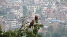 IMG 4093