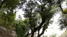 20120511 1141@000001