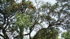 DSC05960