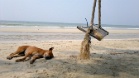 Klong Prao Beach (Koh Chang, Thailand)
